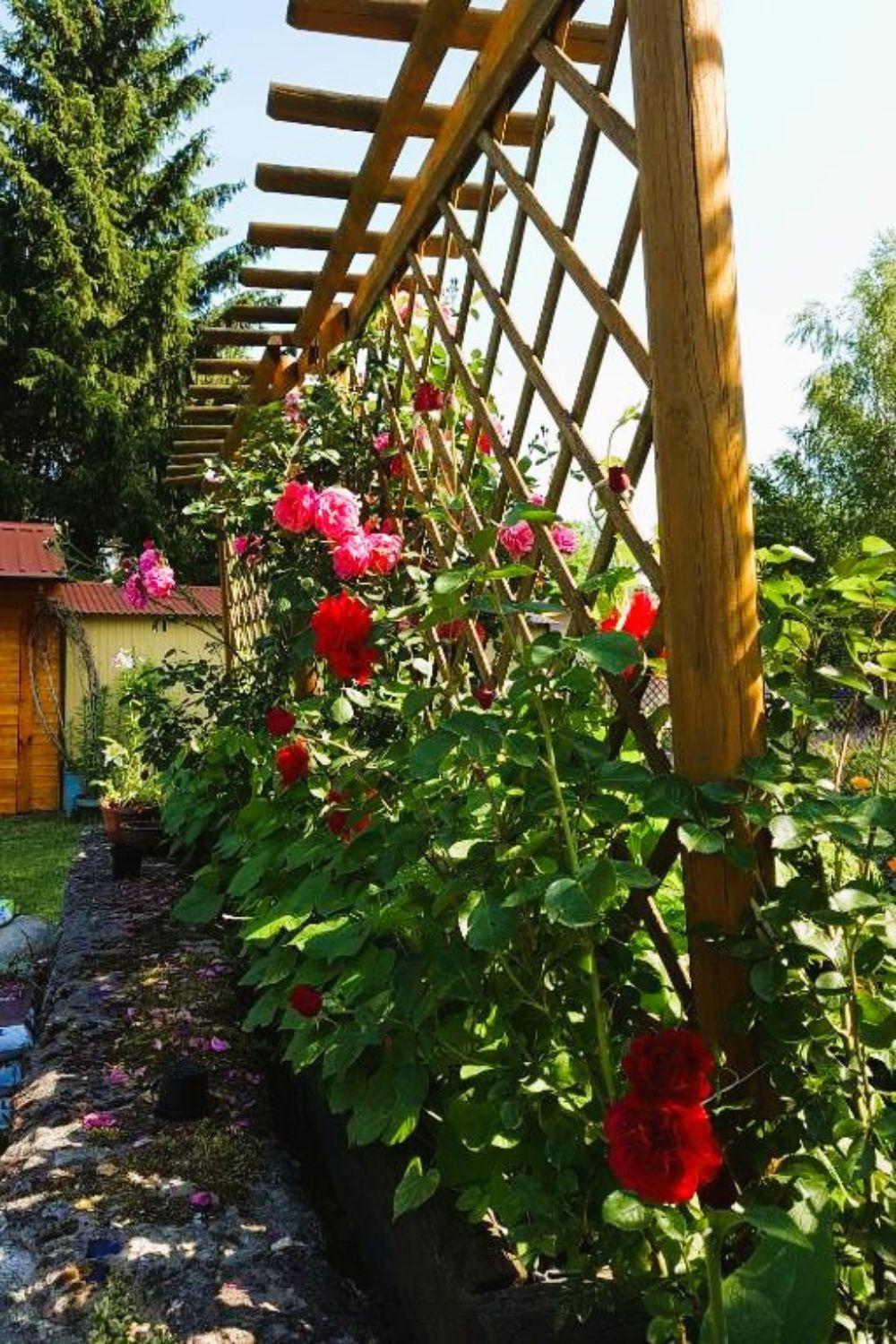 Вилла Olszyna Pod Brzoza Экстерьер фото